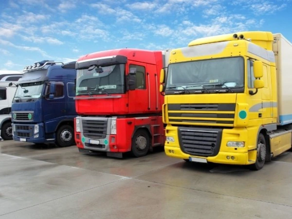 İzmir Tortum Nakliye